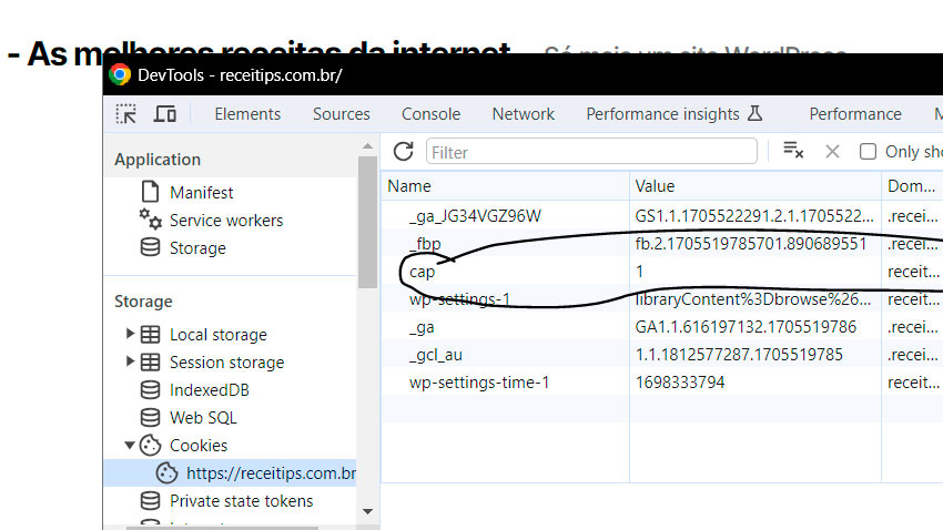 Cookie criado através do Google Tag Manager - Por Aylton Inacio