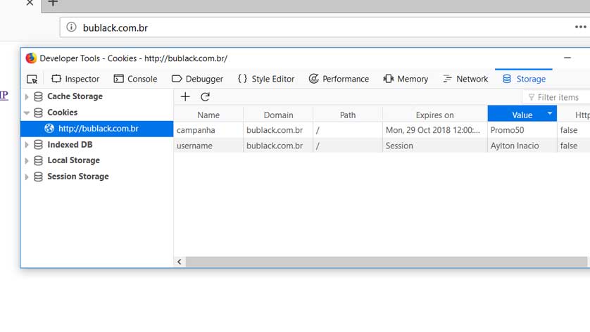 Exibindo Cookies no Firefox - Por Aylton Inacio